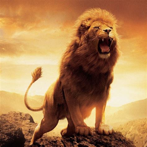 Lion S Roar bet365